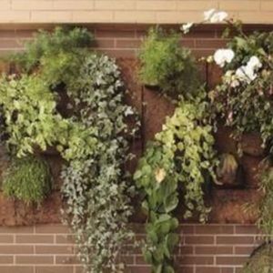 Meet your Posher, Jodi